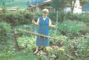 Bäuerin mit Bohnentreter, Quelle: Erfahrungen über Lokalsorten traditioneller Kulturarten in Osttirol (2006), Foto: Vogl-Lukasser 1998