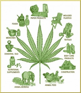 title=Use of Hemp. source: www.golosa.ch