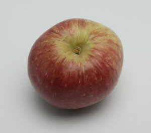 Pomme de Zurich (Image: ProSpecieRara)